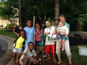 Fuji Apple Tree FACETS Fairfax, Virginia