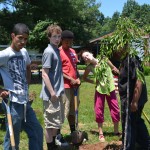 Weeping Cherry Southeastern Alternative School
Midland, Virginia