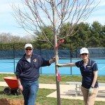 2 Red Maple
Highland Tennis Court
Warrenton, Virginia