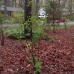 2 Winterberry
Milford, Deleware