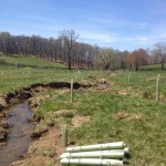 12 Sycamores
Goose Creek Association
Virginia